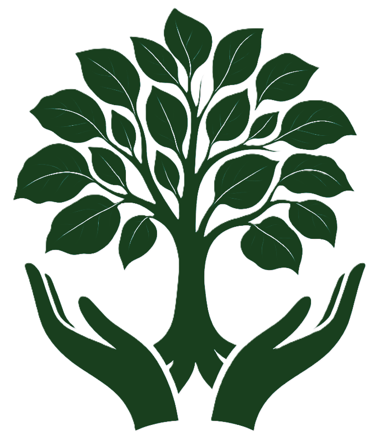 Paulownia Plantations